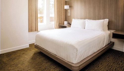 One Bedroom Suite King