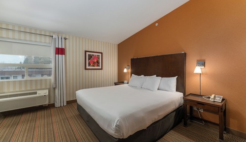 Superior Room, 1 King Bed, Jetted Tub