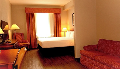Studio Suite, 1 King Bed with Sofa bed