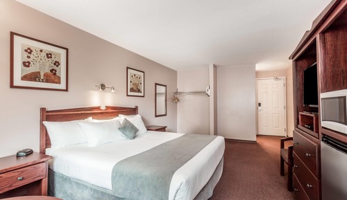 Comfort Room, 1 King Bed, Non Smoking (Efficiency)