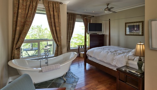 Suite, 1 Queen Bed
