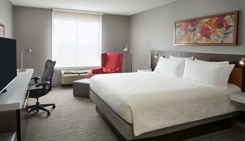 Room, 1 King Bed