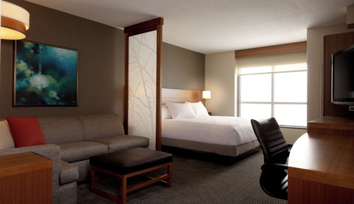Room, 1 King Bed with Sofa bed
