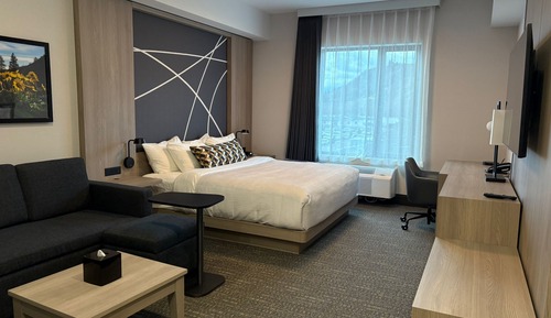 Room, 1 King Bed, Non Smoking (Sofabed)