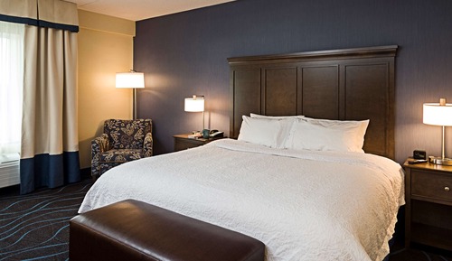 Room, 1 King Bed, Accessible, Bathtub
