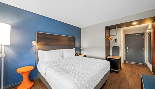 Room, 1 King Bed