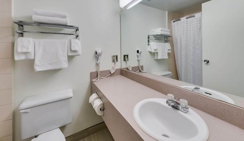 Premier Studio Suite, 1 King Bed