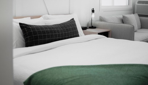 Suite, 1 King Bed with Sofa bed