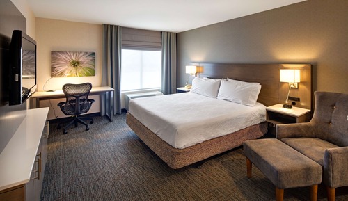 Room, 1 King Bed