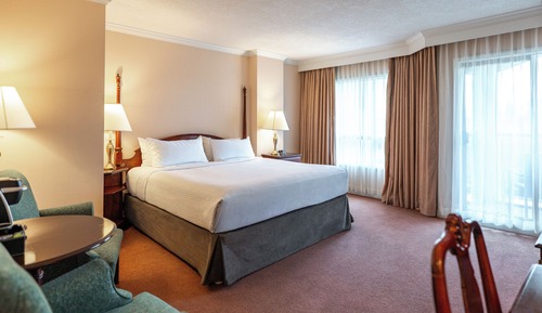 Room, 1 King Bed