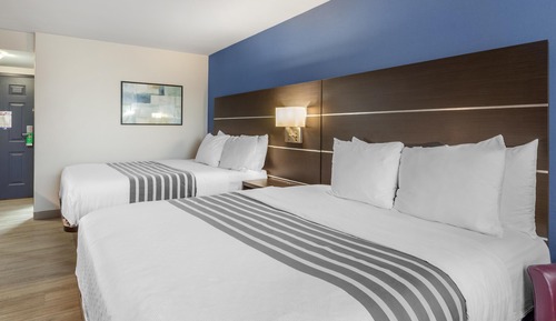 Standard Room, 2 Double Beds, Non Smoking, Kitchen