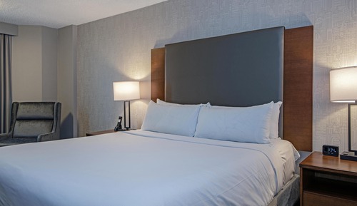 Room, 1 King Bed