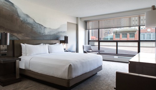Room, 1 King Bed
