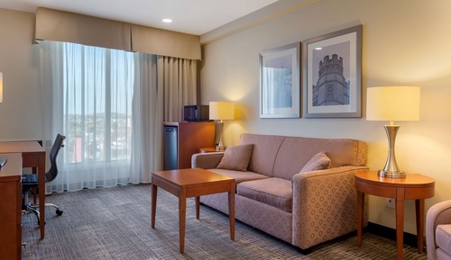 Executive Suite, 1 King Bed, Non Smoking, Refrigerator & Microwave (with Sofabed)