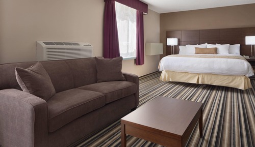 Room, 1 King Bed, Refrigerator