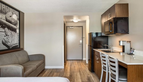 Room, 1 Queen Bed with Sofa bed, Non Smoking (Efficiency)