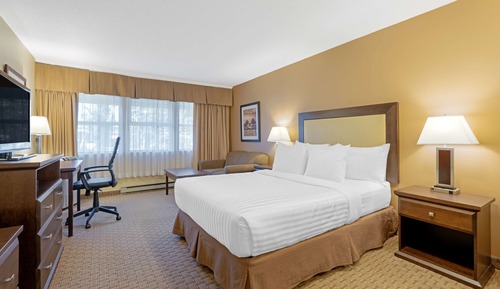 Standard Room, 1 Queen Bed, Accessible, Refrigerator & Microwave (Walk-in Shower)
