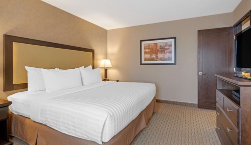 Standard Room, 1 King Bed, Non Smoking, Refrigerator & Microwave