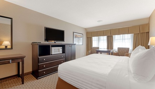 Standard Room, 1 King Bed, Non Smoking, Refrigerator & Microwave (Walk-in Shower)