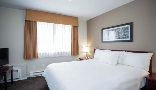 Standard Suite, 1 Queen Bed with Sofa bed, Kitchen