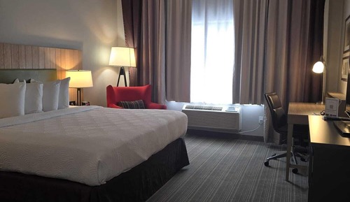 Room, 1 King Bed, Non Smoking (Roll-in Shower)