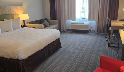 Studio Suite, 1 King Bed with Sofa bed, Bathtub Grab Bars, Non Smoking