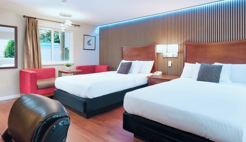 Standard Room, 2 Double Beds
