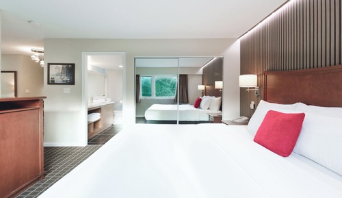 Deluxe Suite, 1 King Bed with Sofa bed, Kitchenette, Park View