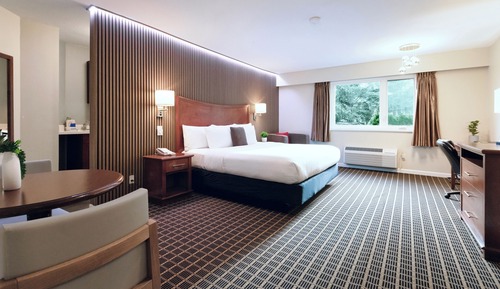 Standard Room, 1 King Bed, Kitchenette
