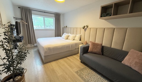 Studio, 1 King Bed