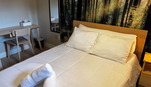 Basic Double Room