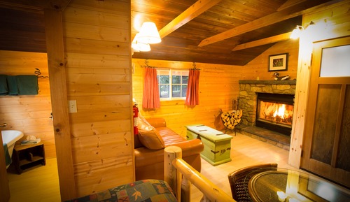 Pine Cabin, Wood Fireplace, Bathtub Only