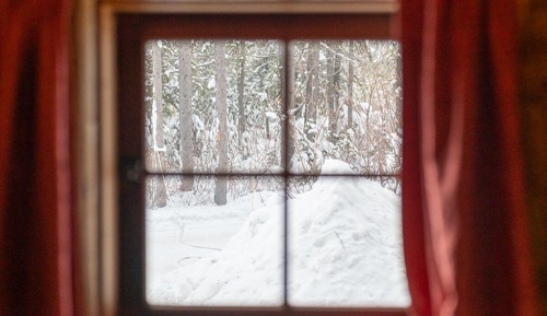 Pine Cabin, Wood Fireplace, Shower