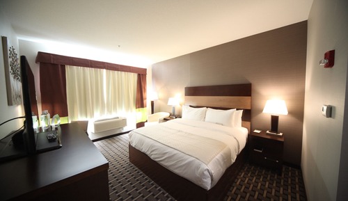 Premium Room, 1 King Bed, Non Smoking (Pet-Friendly)