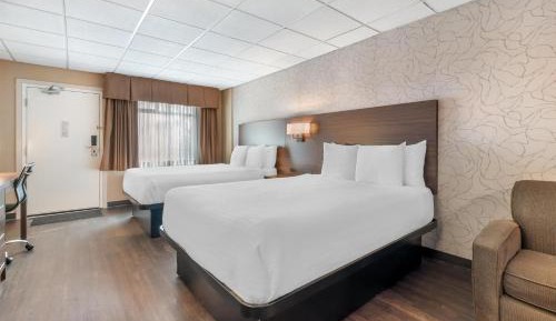Queen Room with Two Queen Beds - Pet Friendly/Non-Smoking