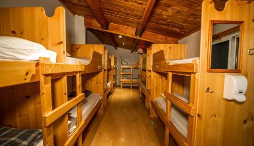 Bunk Bed in Male Dormitory Room 