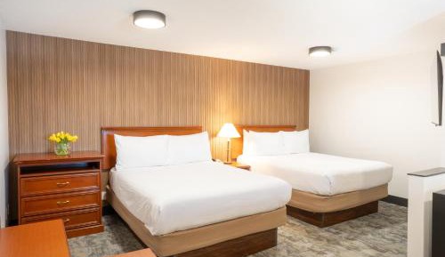 Business Suite with Two Queen Beds - Non-Smoking