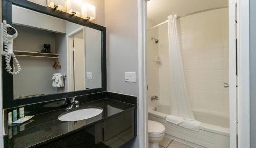 Queen Studio Suite - Non-Smoking - Non Pet Friendly