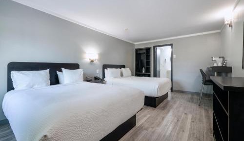 Standard Room, 2 Queen Beds