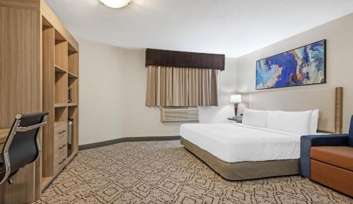 King Room with Walk-in Shower - Disability Access