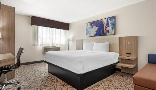 King Room with Walk-in Shower - Non-Smoking