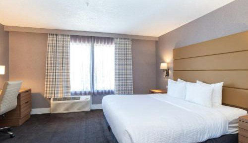  Standard Room, 1 King Bed, Sofa Bed