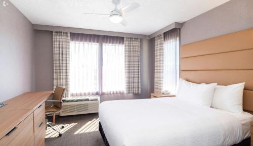 Standard Suite, 1 Queen Bed, Sofa Bed, Kitchenette