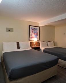 Queen Room with Two Queen Beds-Lower Level (Basement)