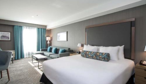 Standard Room, 1 King Bed, Sofa Bed