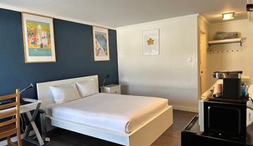 Queen Room (Pet-Friendly)