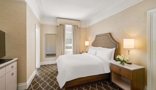Junior King Suite