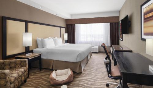 King Room with Wet Bar - Ground Floor/Pet Friendly/Non-Smoking