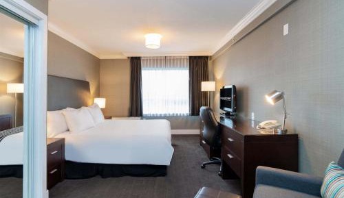 Studio Suite, 1 King Bed, Kitchenette