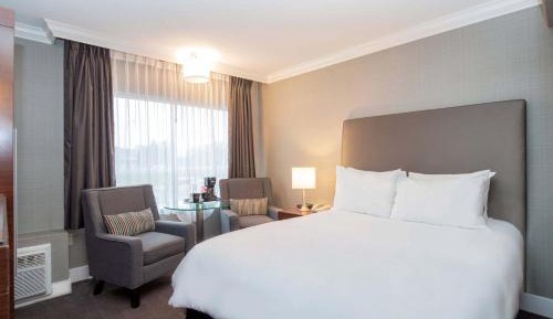 Standard Room, 1 Queen Bed